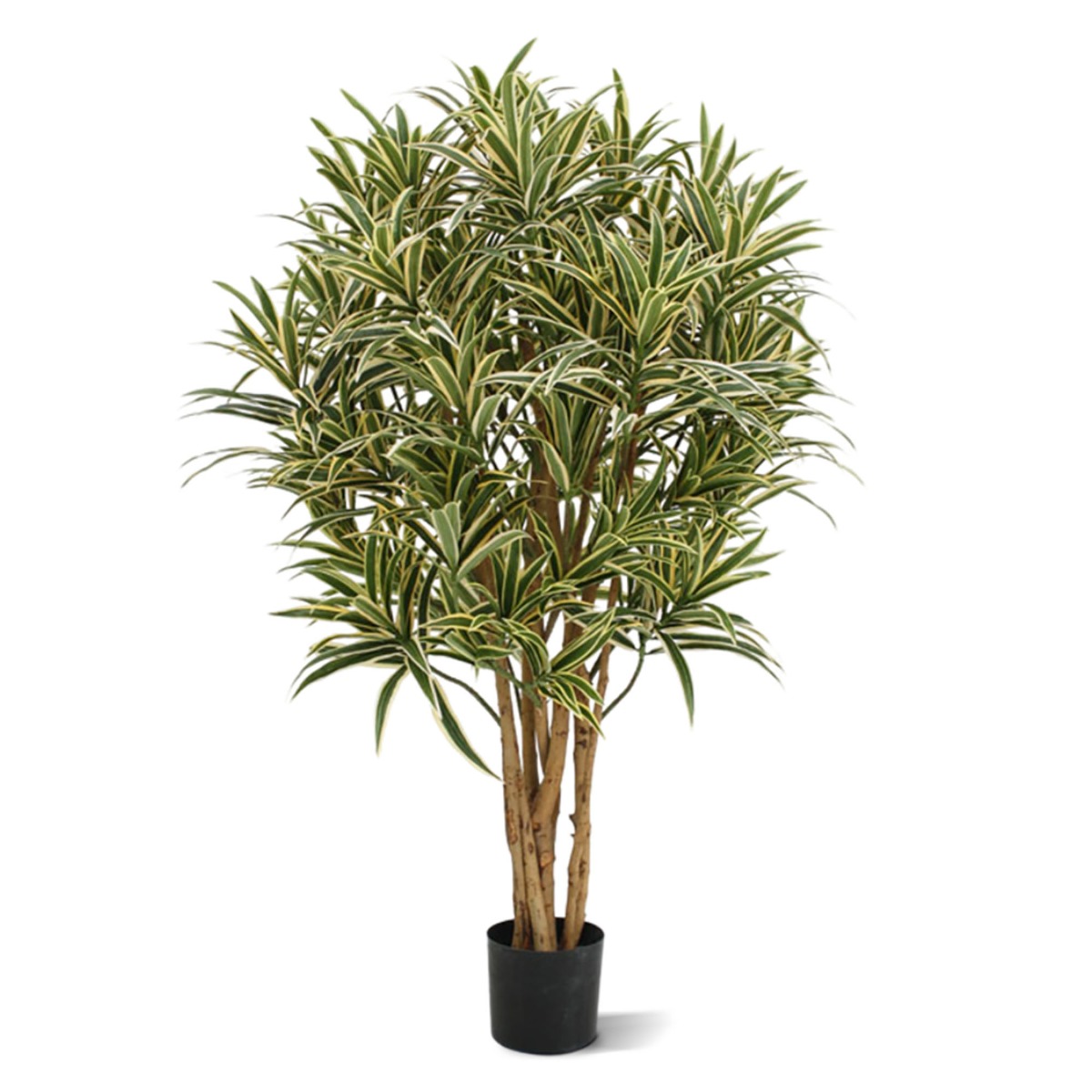 Knstlicher Drachenbaum Reflexa (Dracaena) 100 cm