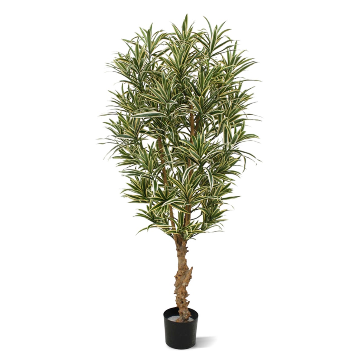 Künstlicher Drachenbaum reflexa (Dracaena) grün-gelb 150 cm