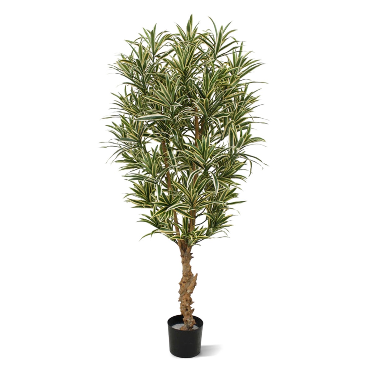 Knstlicher Drachenbaum reflexa (Dracaena) grn-gelb 150 cm