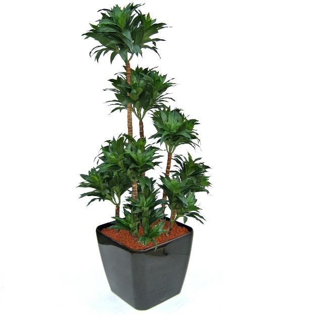 Künstlicher Drachenbaum XL (Dracaena) 160 cm inkl- Topf