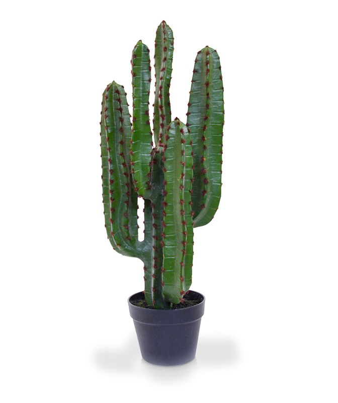 Knstlicher Euphorbia Kaktus 70 cm in Topf