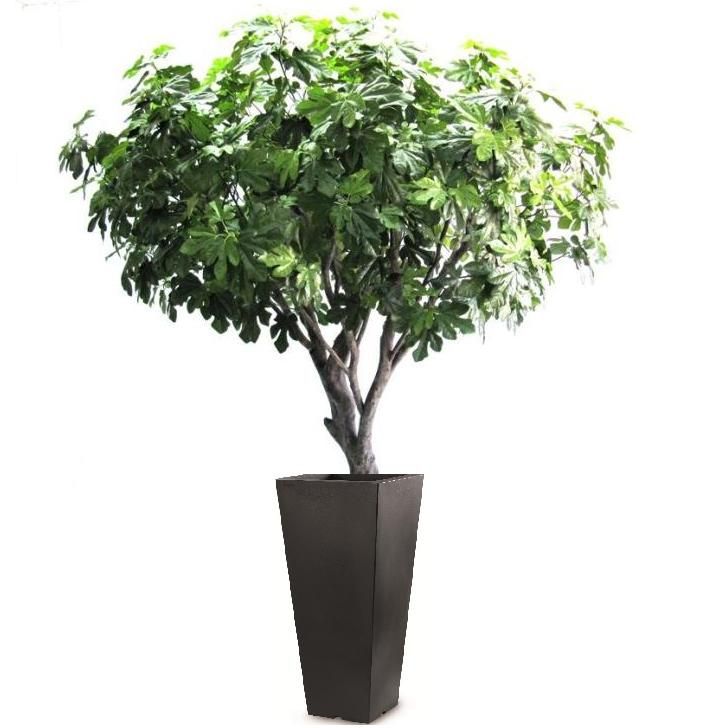 Knstlicher Feigenbaum Deluxe 250 cm