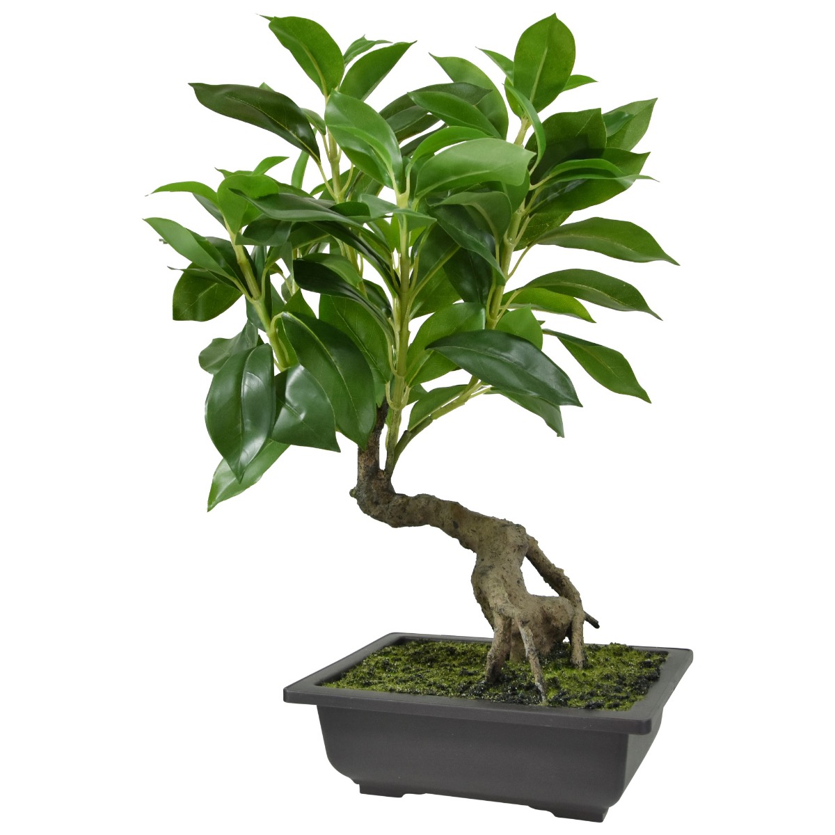 Künstlicher Ficus Bonsai 50 cm in Schale