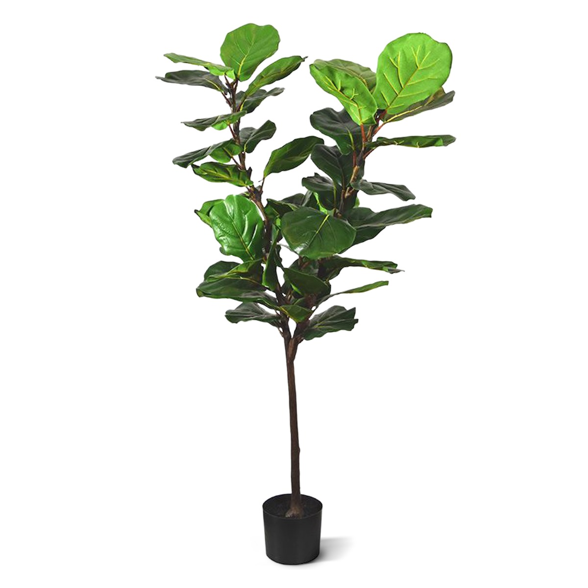 Künstlicher Ficus Lyrata Y- 150 cm