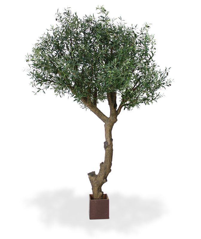 Künstlicher Olivenbaum Giant 270 cm Y Stamm