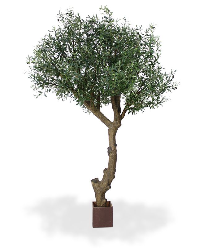 Knstlicher Olivenbaum Giant 270 cm Y Stamm