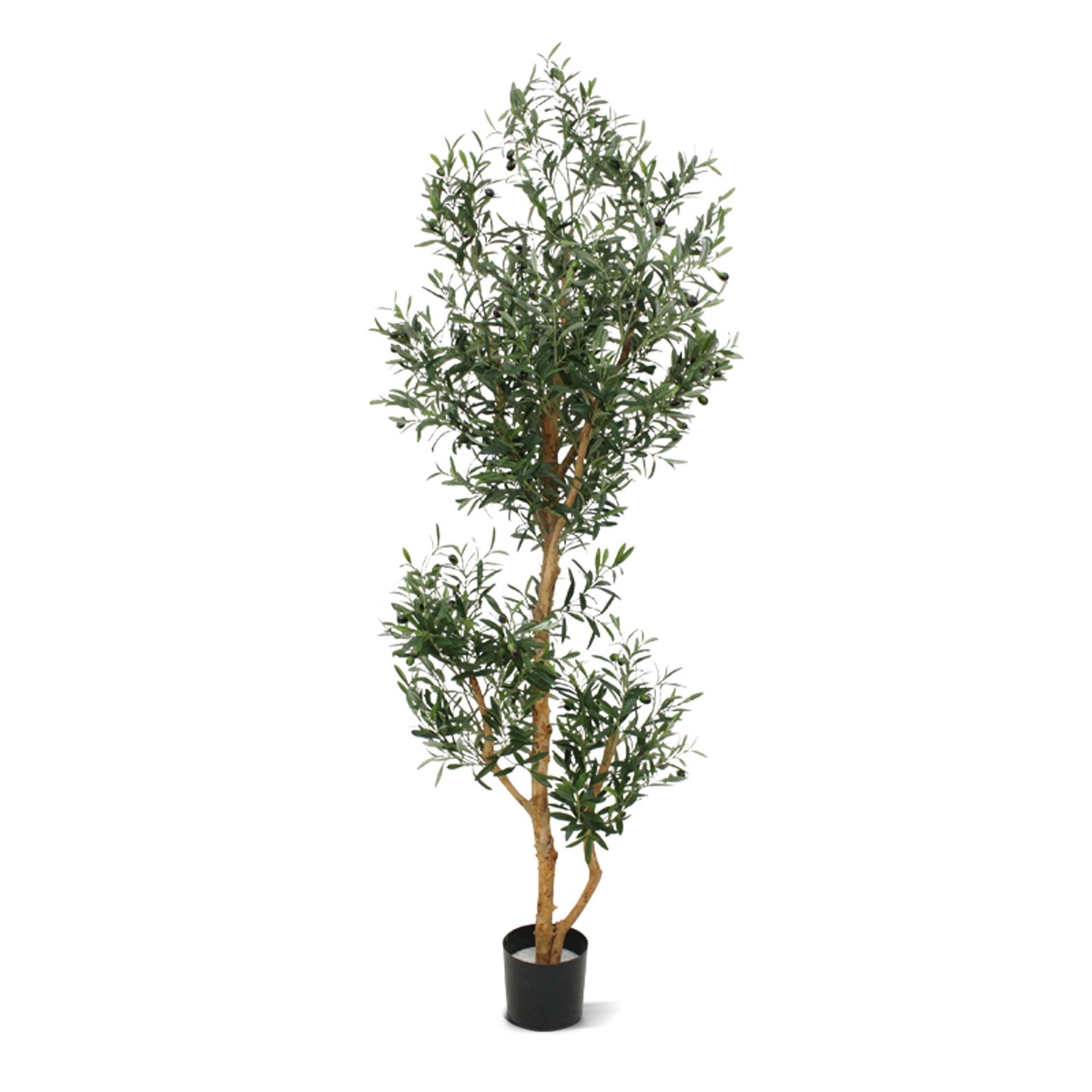 K黱stlicher Olivenbaum Promo 180 cm