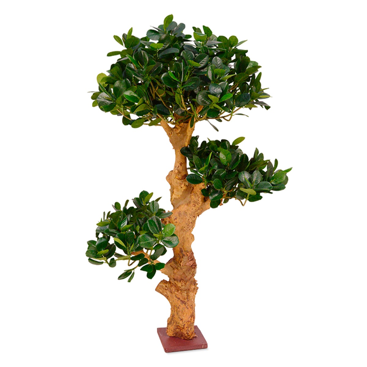 Knstlicher Panda Bonsai 90 cm x 3 auf Holzsockel