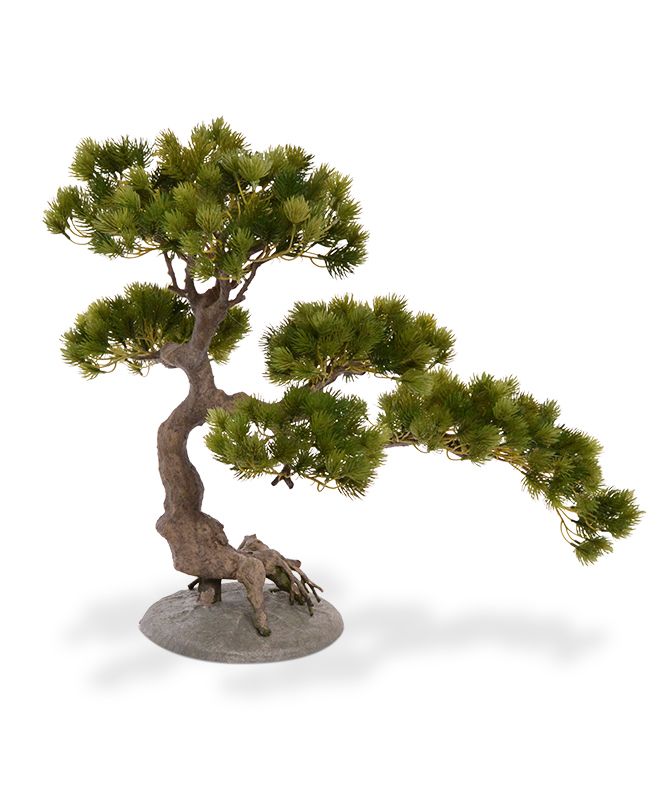 Künstlicher Pinus Bonsai 50x60 cm auf Fuss unter Grüne Kunstpflanzen