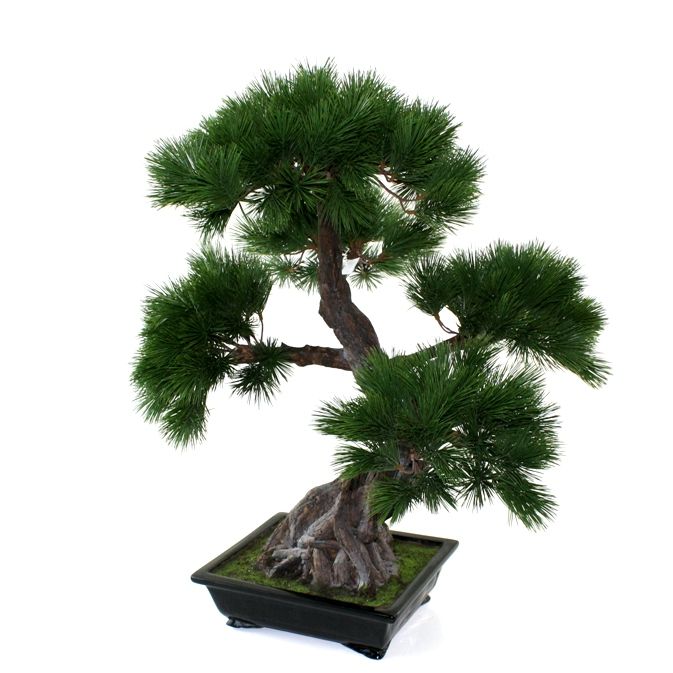 Künstlicher Pinus Bonsai Deluxe 90 cm mit Schale unter Grüne Kunstpflanzen