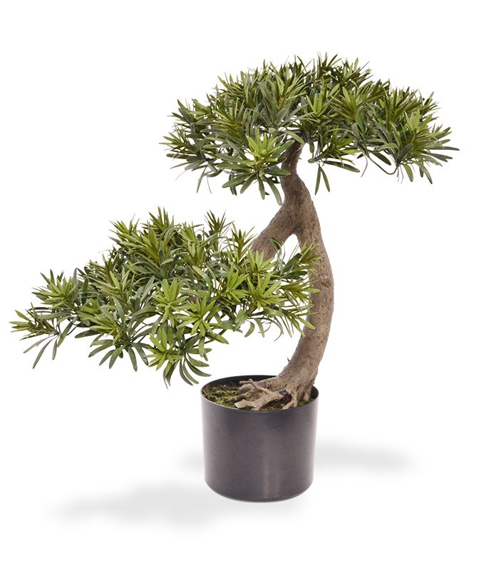 Knstlicher Podocarpus Bonsai 55 cm