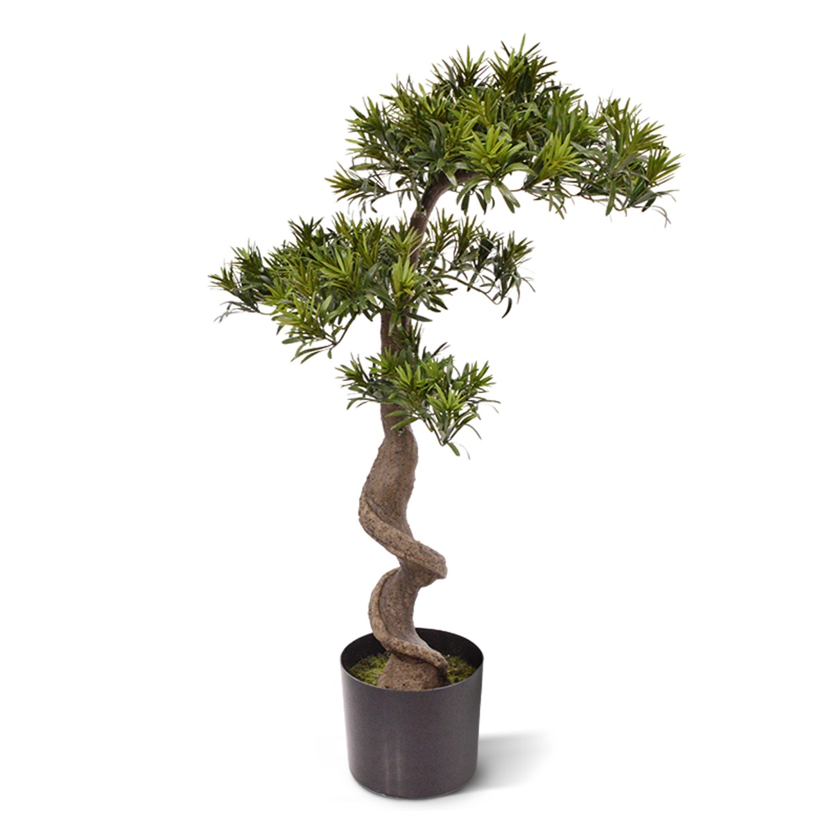 Knstlicher Podocarpus Bonsai 85 cm