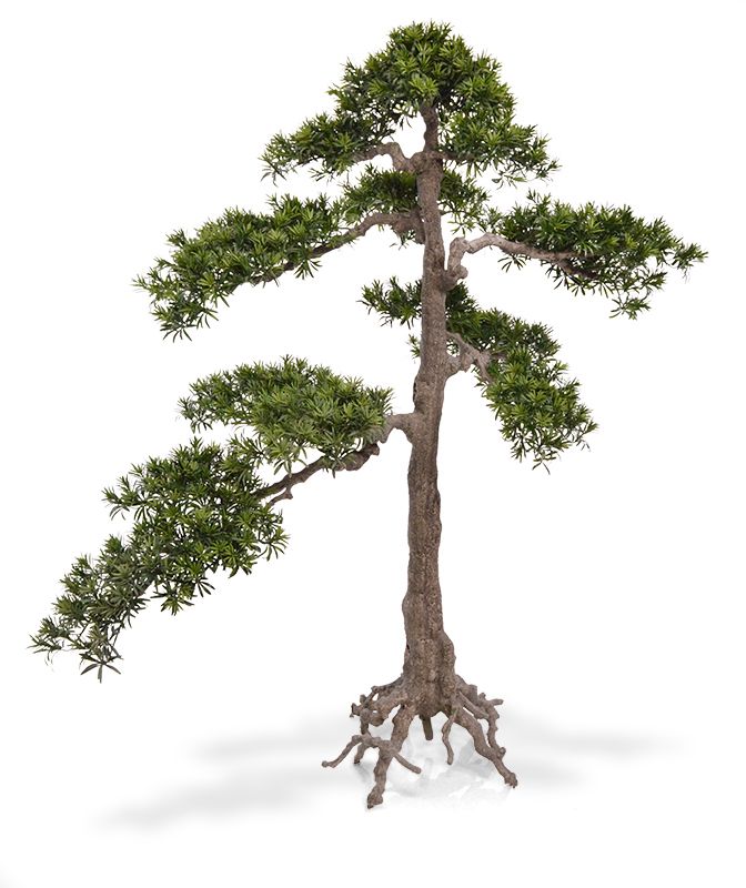 Künstlicher Podocarpus Bonsai XL 190 cm auf füss