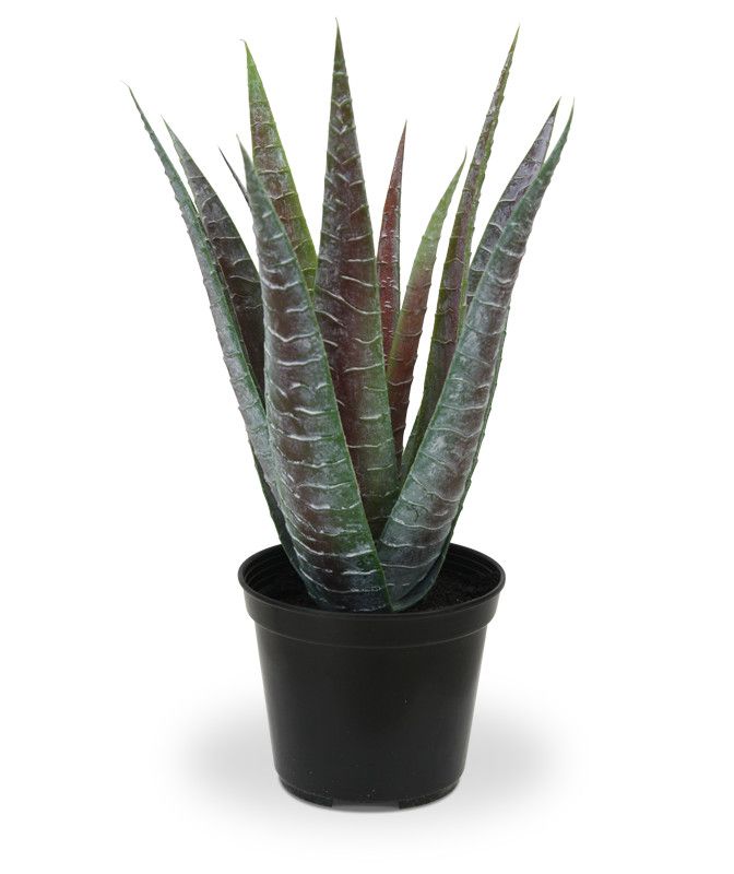 Knstliches Aloe Vera Bukett 30 cm mit Topf