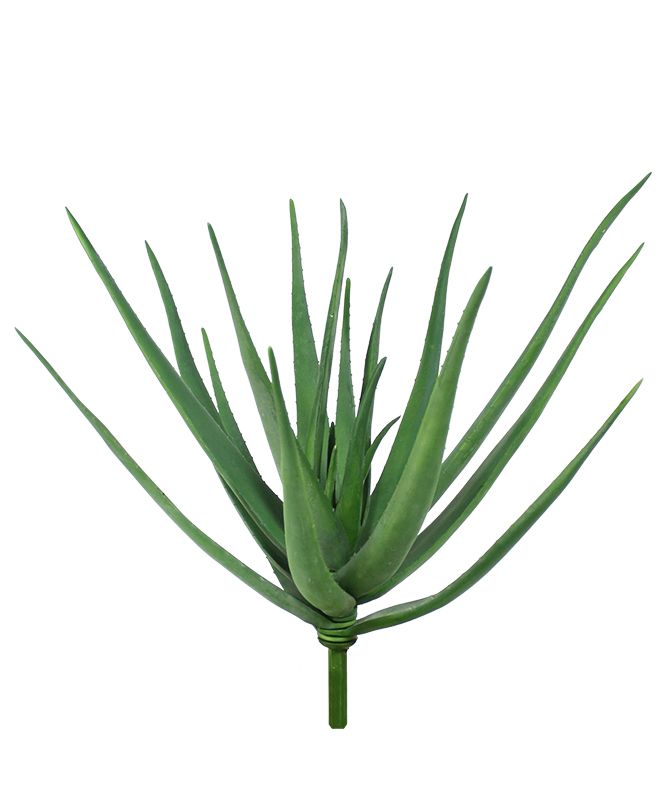 Künstliches Aloe Vera Deluxe Bukett 60 cm unter Grüne Kunstpflanzen