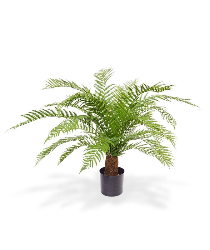 Künstliches Alsophillia Farn XXL 80 cm- UV-beständig unter Kunstpflanzen Außenbereich