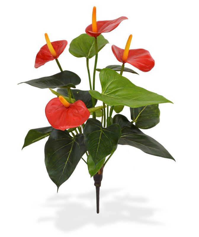 Künstliches Anthurien Bukett 40 cm rot unter Blühende Kunstpflanzen
