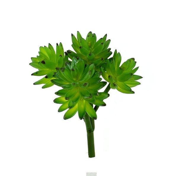 Künstliches Echeveria Sukkulent Bukett unter Grüne Kunstpflanzen