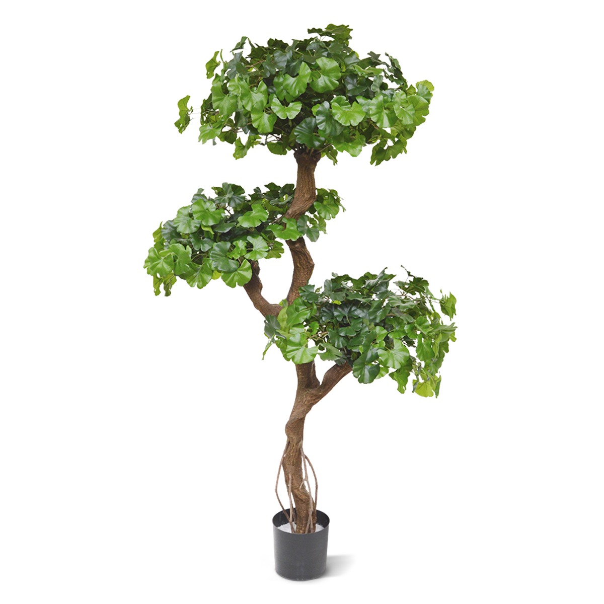 Knstliches Ginkgo Bonsai Kunstbaum 150 cm