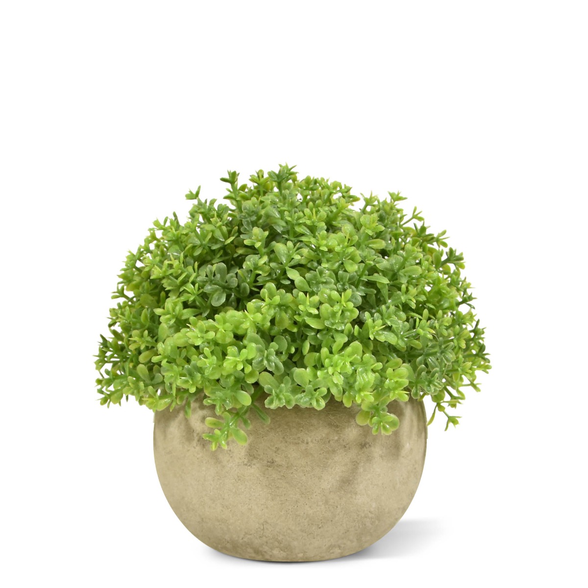 Knstliches Mini Buchs 14 cm grn in Topf