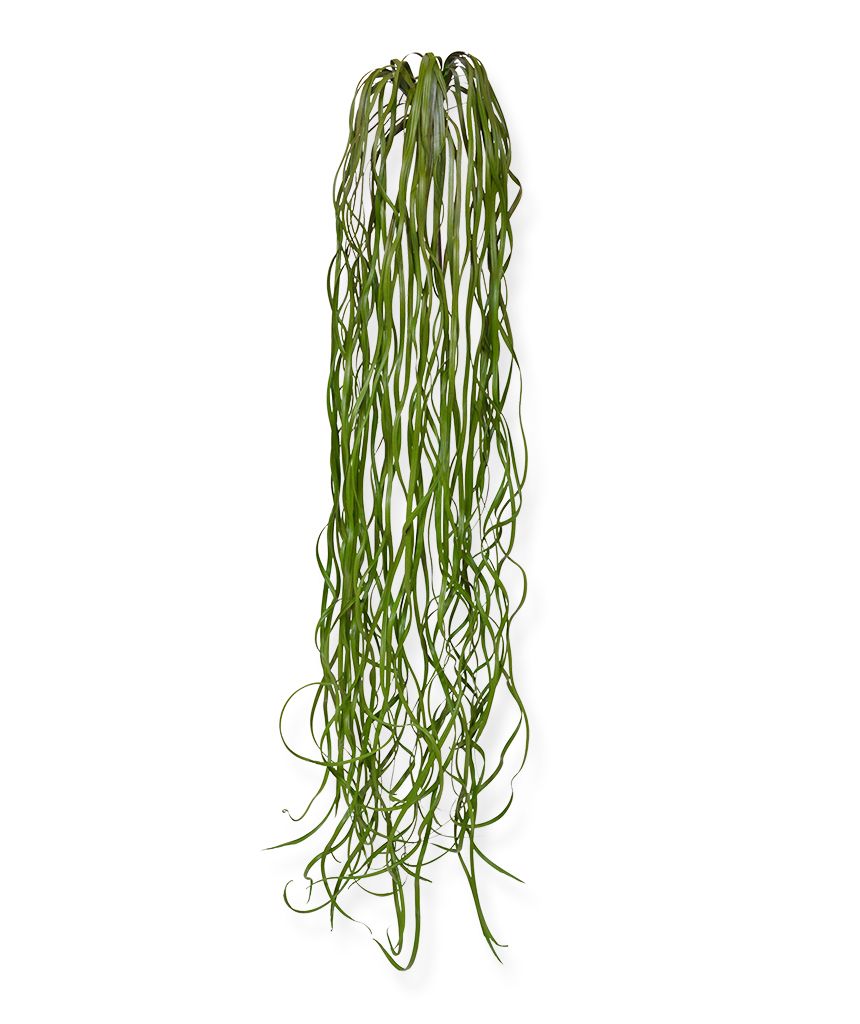 Künstliches Seegräser Hängepflanze 120 cm