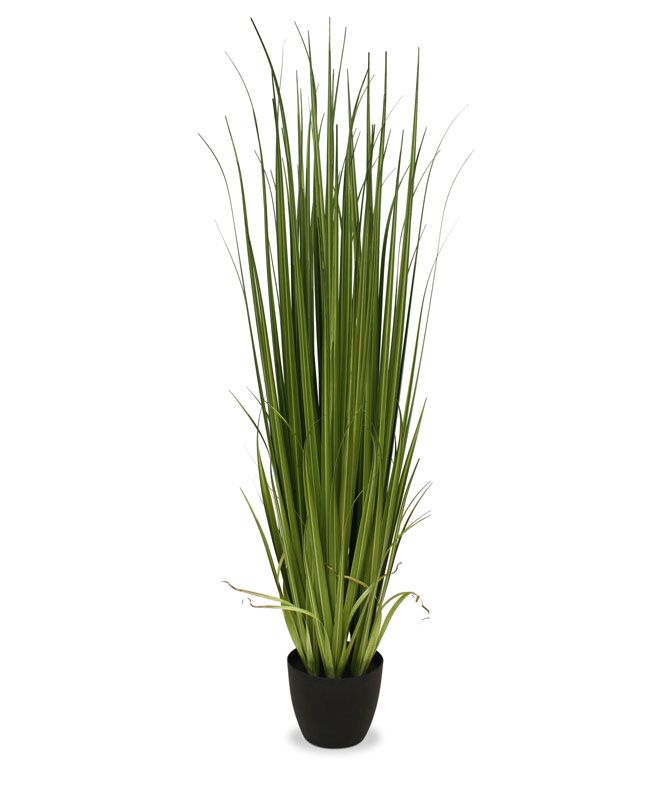 Kunstpflanze Gras 180 cm mit Topf