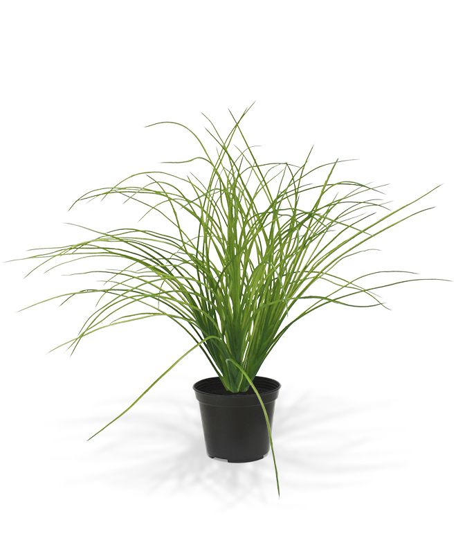 Kunstpflanze Gras 45 cm hellgrün mit Topf