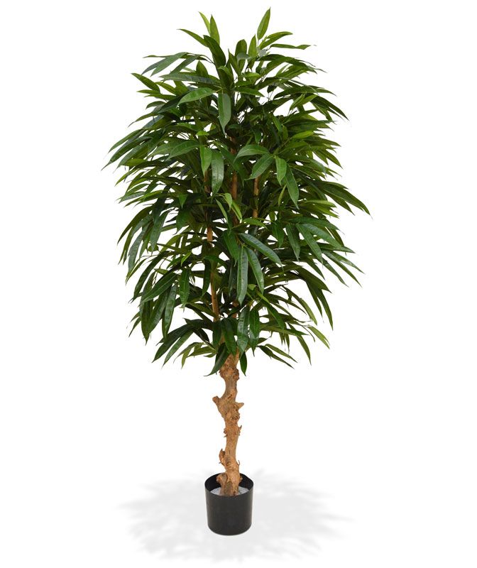 Longifolia Royal Deluxe Kunstbaum 165 cm