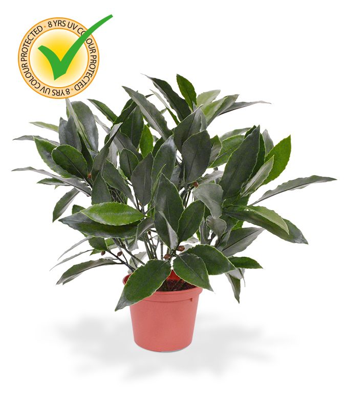 Lorbeer Kunstpflanze 35 cm UV in Topf