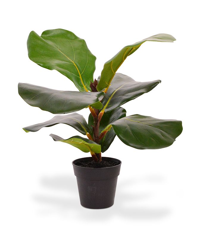 Lyrata Kunstpflanze 30 cm in Topf
