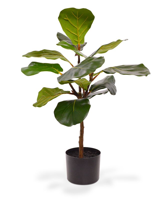 Lyrata Kunstpflanze 60 cm in pot