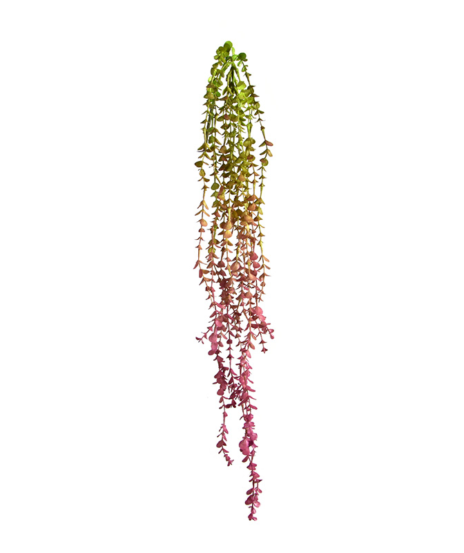 Mini Eucalyptus Hngepflanze 60 cm burgundy