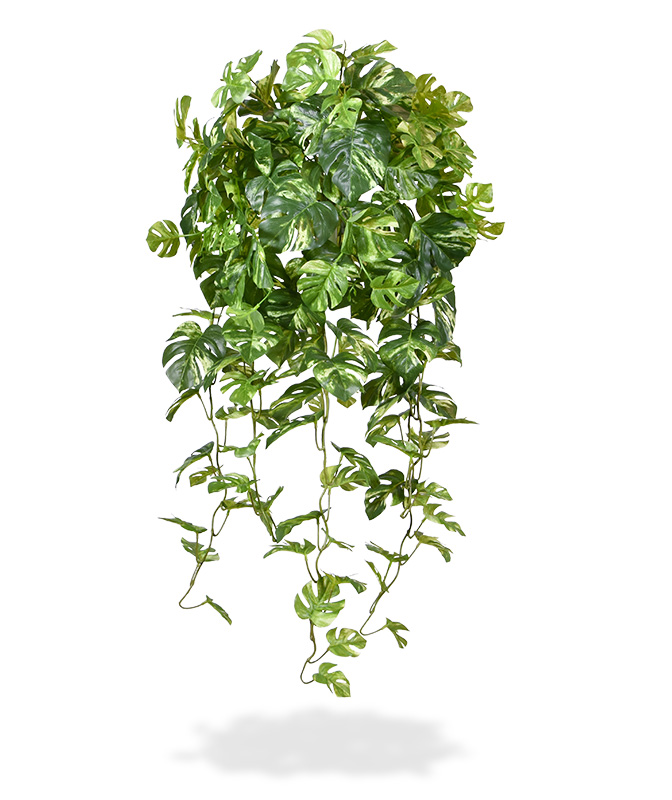 Monstera knstliche Hngepflanze 80 cm bunt