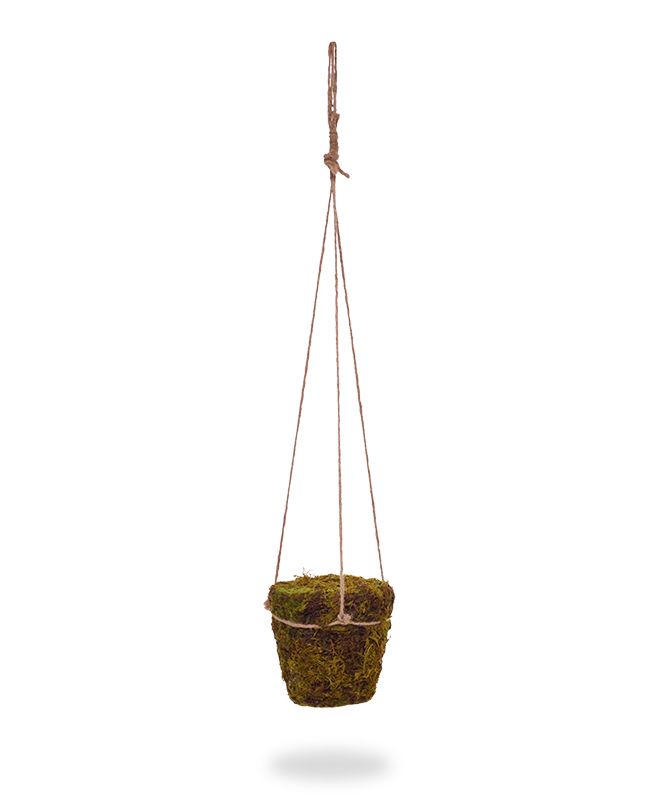 Moss Topf mit Jute-Seilaufhänger 70 cm