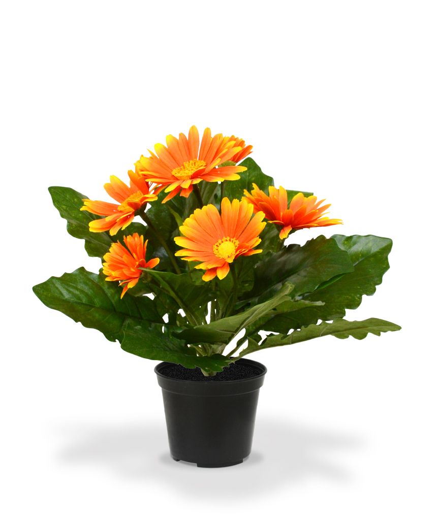 Orange Gerbera Kunstpflanze 30 cm in Topf