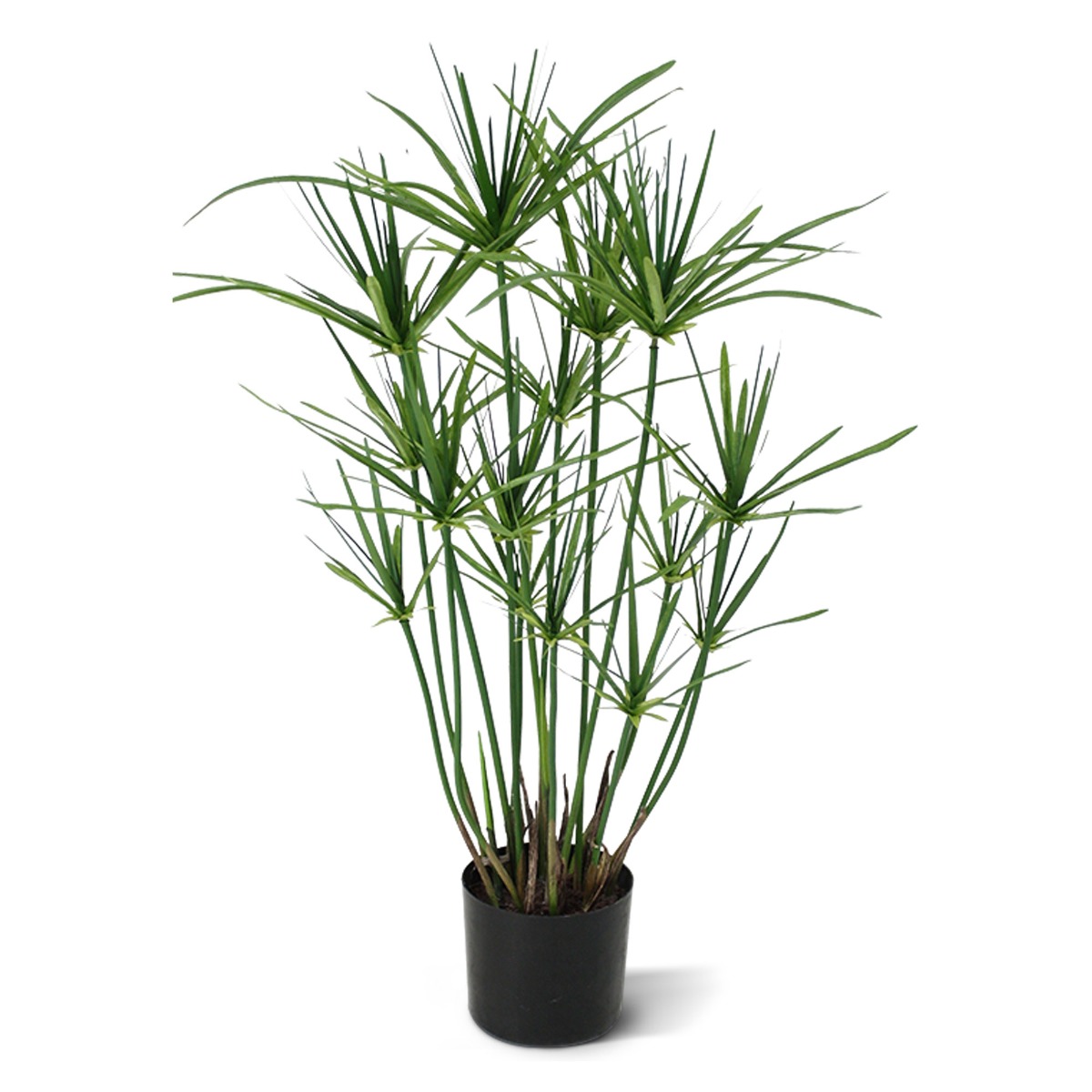 Papyrus Kunstpflanze (knstliches Zyperngras) 65 cm