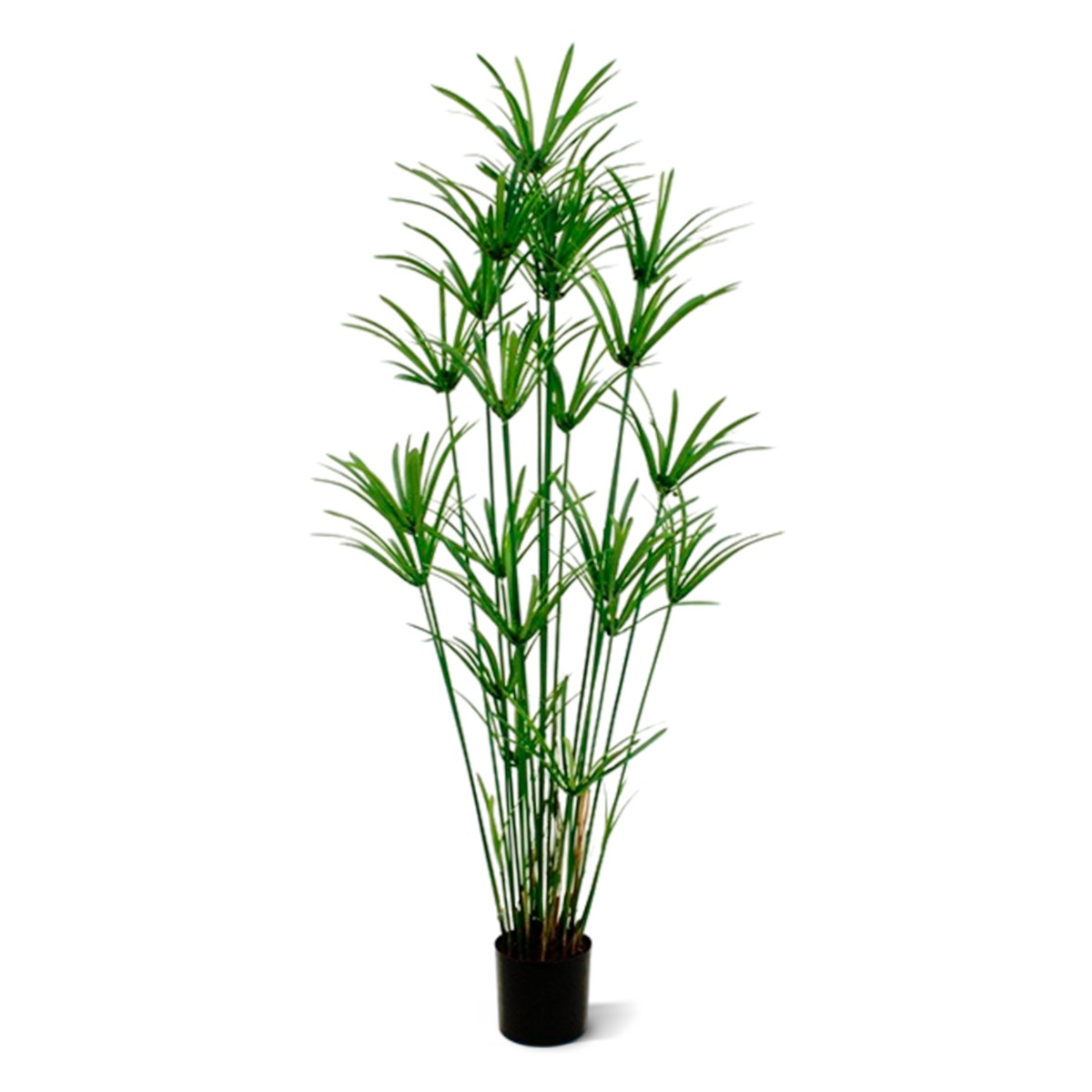 Papyrus Kunstpflanze (künstliches Zyperngras) Deluxe 175 cm unter Grüne Kunstbäume