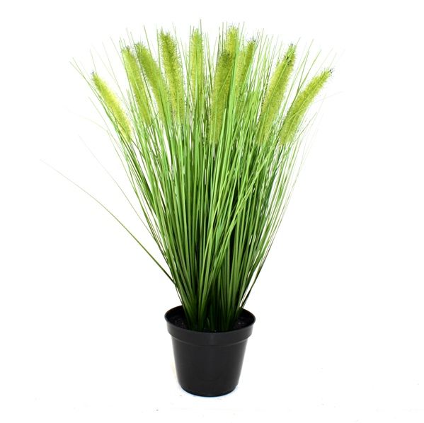 Pennisetum Kunstpflanze Gras 50 cm mit Topf 12 cm unter Grüne Kunstpflanzen