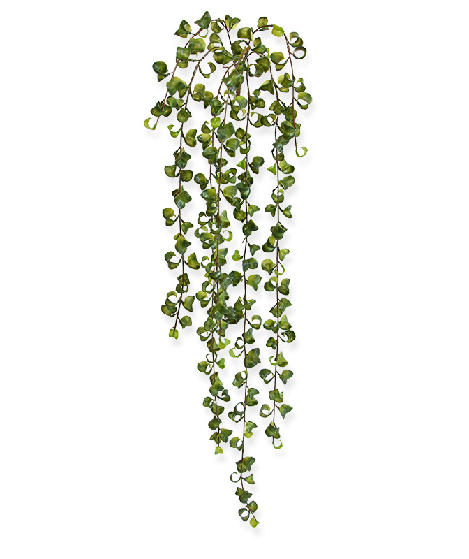 Peperomia Prostrata Rankpflanze 80 cm unter Künstliche Hängepflanzen