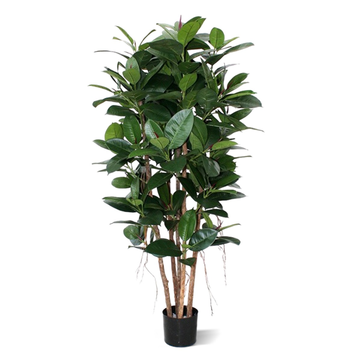 Philodendron Kolom Kunstpflanze 155 cm unter Grne Kunstbume