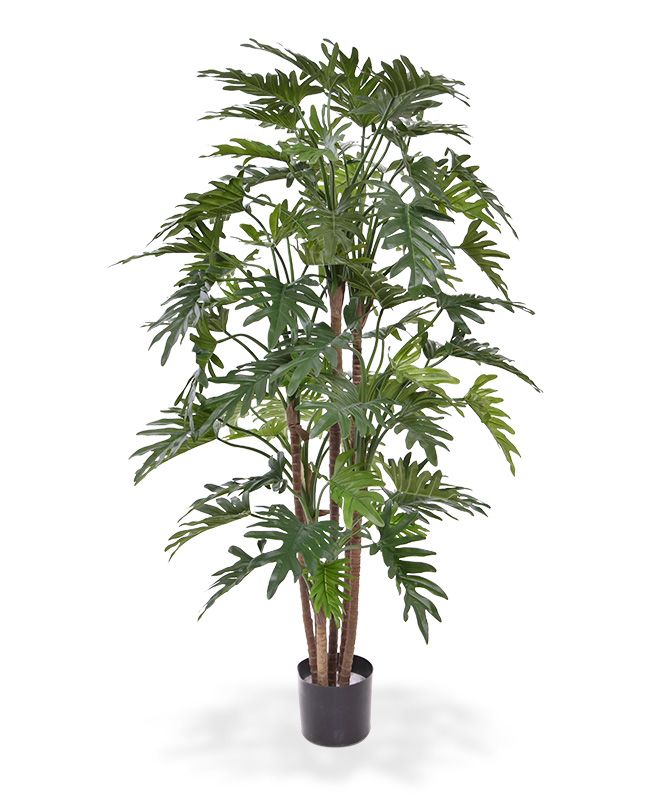 Philodendron Xanadu deluxe Kunstbaum 140 cm