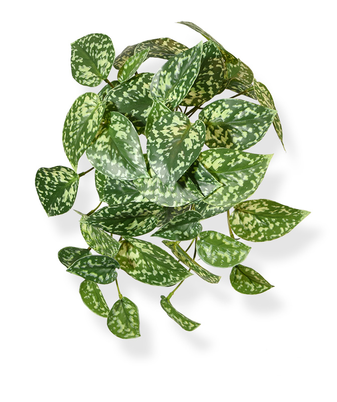 Pictus kunsthangplant bont 25 cm unter Künstliche Hängepflanzen