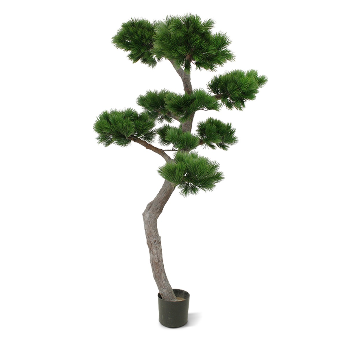 Pinus Bonsai Kunstbaum XL 200 cm unter Wetterfeste Kunstbäume