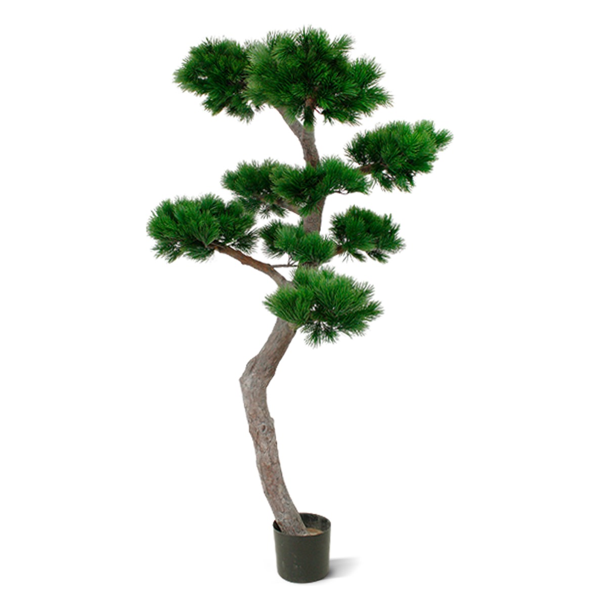 Pinus Bonsai Kunstbaum XL 200 cm UV-bestndig unter Wetterfeste Kunstbume