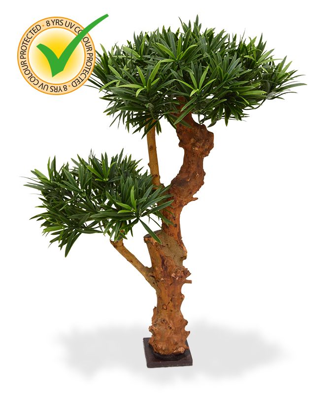Podocarpus Kunstbonsai 65 cm UV-beständig unter Kunstpflanzen Außenbereich