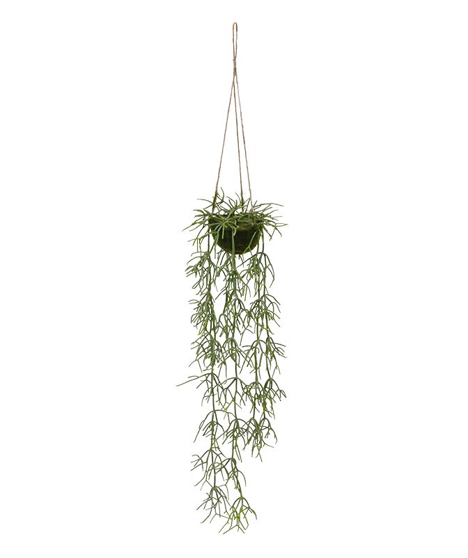 Rhipsalis Heteroclada knstliche Hngepflanze 75 cm