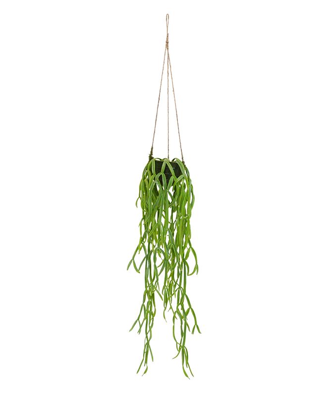 Rhipsalis Paradoxa knstliche Hngepflanze 75 cm