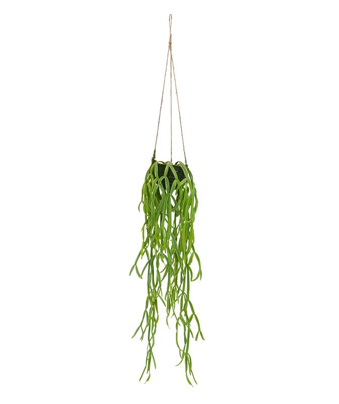 Rhipsalis Paradoxa knstliche Hngepflanze 75 cm unter Knstliche Hngepflanzen