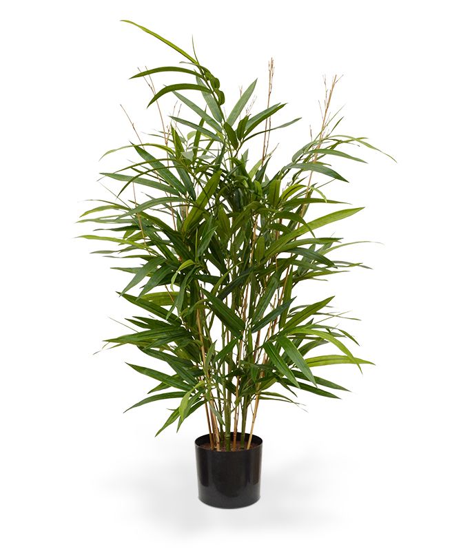 Royal Bambus Kunstpflanze 70 cm grn