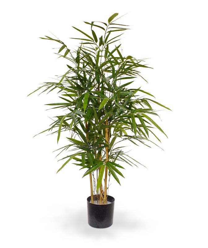 Royal Bambus Kunstpflanze 95 cm